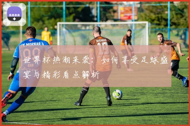 世界杯热潮来袭：如何享受足球盛宴与精彩看点解析