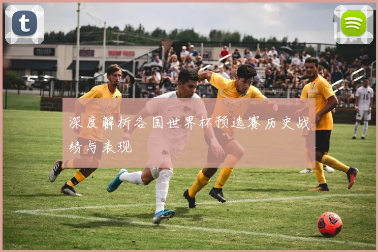 深度解析各国世界杯预选赛历史战绩与表现