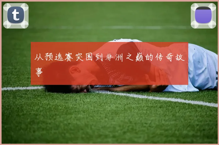 从预选赛突围到非洲之巅的传奇故事