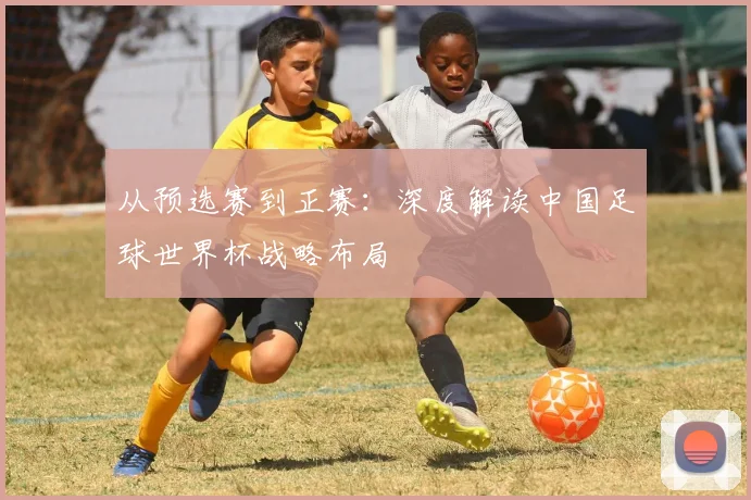 从预选赛到正赛：深度解读中国足球世界杯战略布局